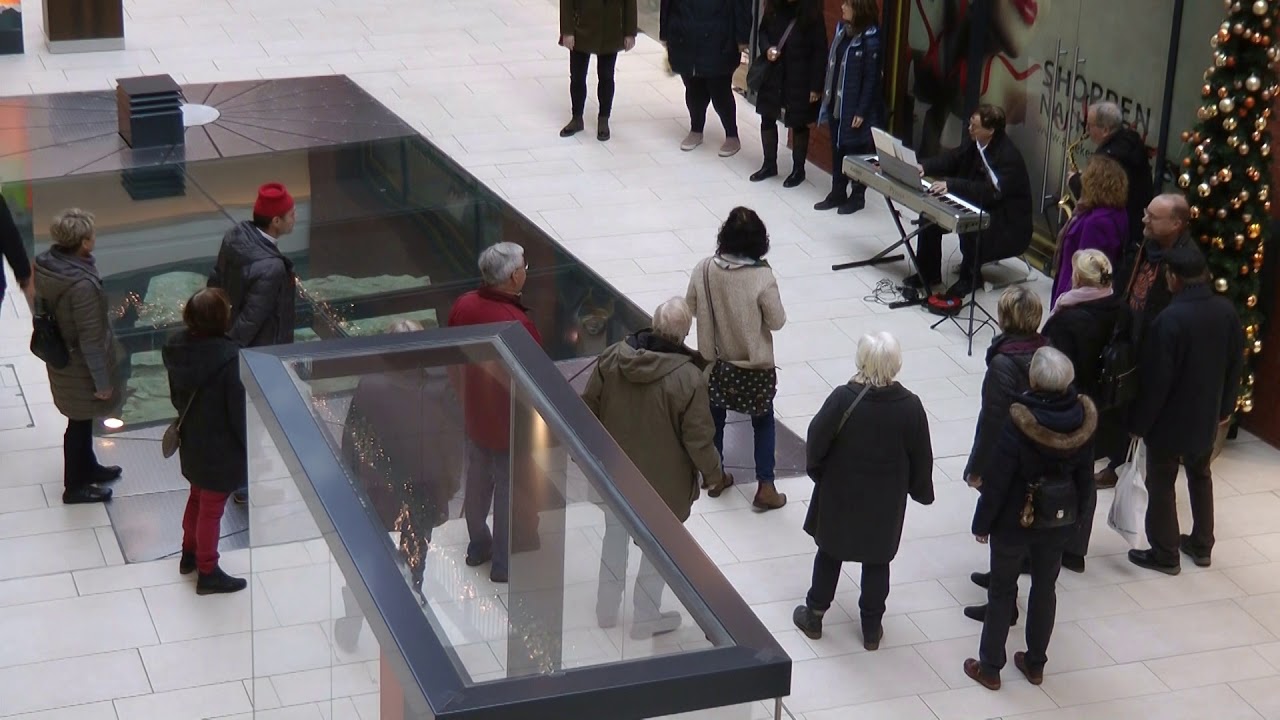 Flash Mob in der Arnekengalerie Hildesheim