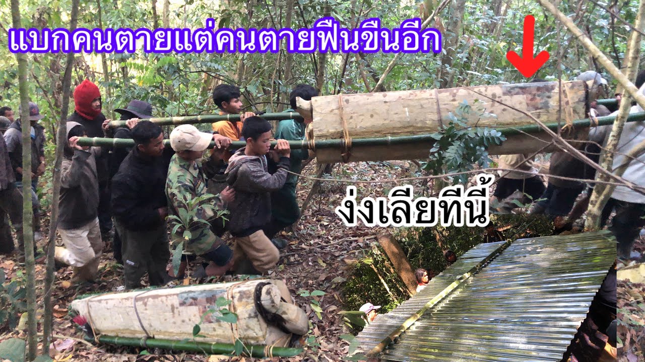 มื้อวันนี้ทีชายแก่อายุ100ปีปายจากไปโลกนี้แหละไม่รวนกับพ้อมอาไล่อาวอนความโสกเชาเสียใจ