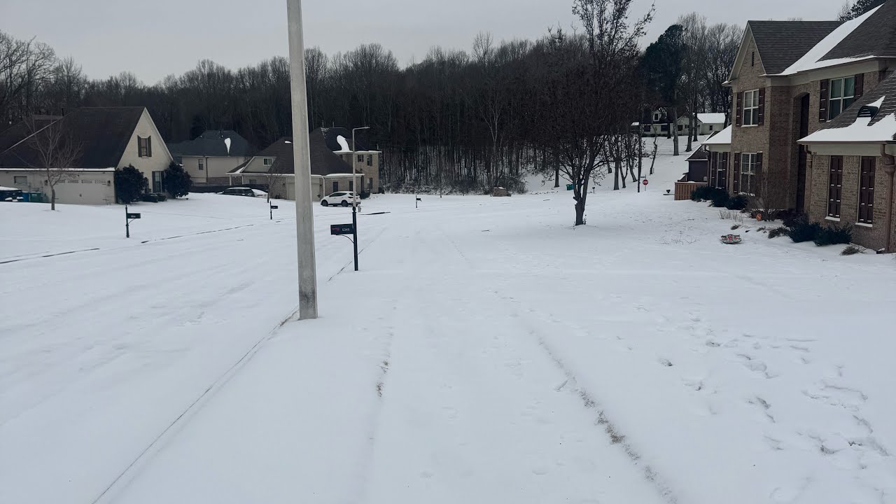 sledding in the snow