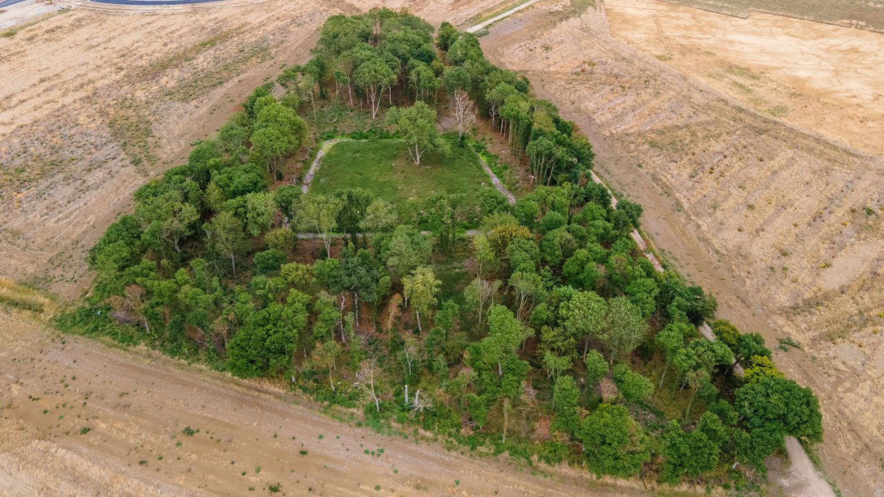 Protecting Prestley Wood heritage