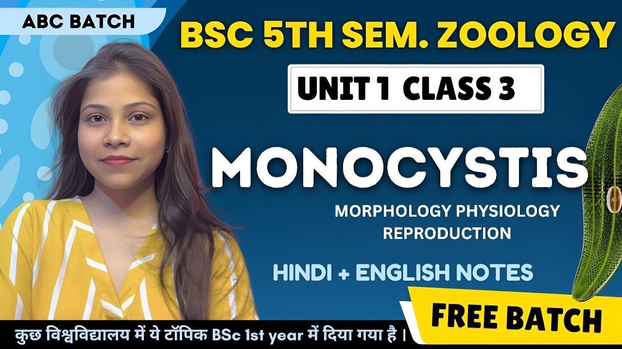 Monocystis BSc 5th Semester Zoology Paper 1 Unit 1🔥|| Protozoa to Coelentrate