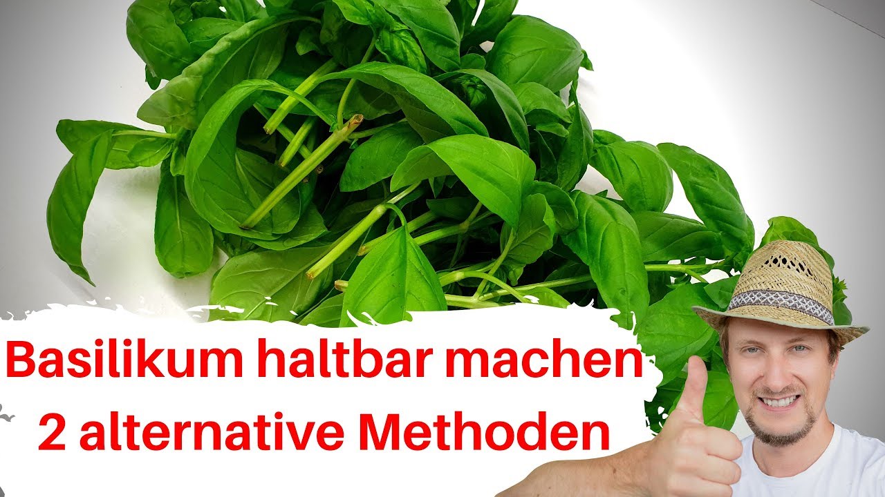 Basilikum haltbar machen 😍 2 Methoden zum konservieren