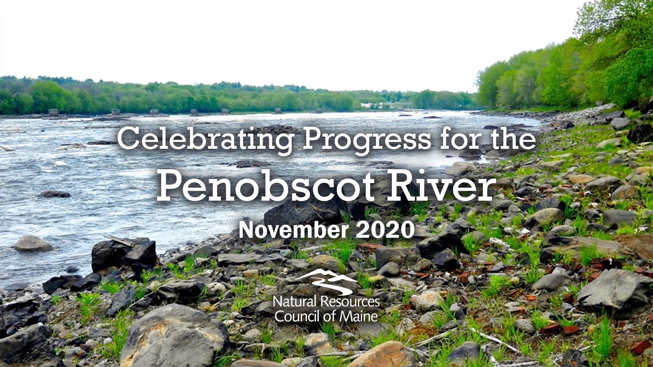 Celebrating Progress for the Penobscot River (Pre-recorded Webinar, November 2020)