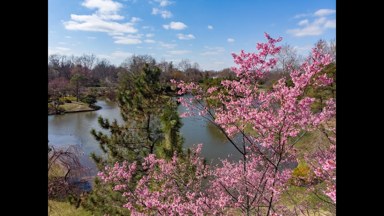 Virtual Garden Tour: March 20, 2020