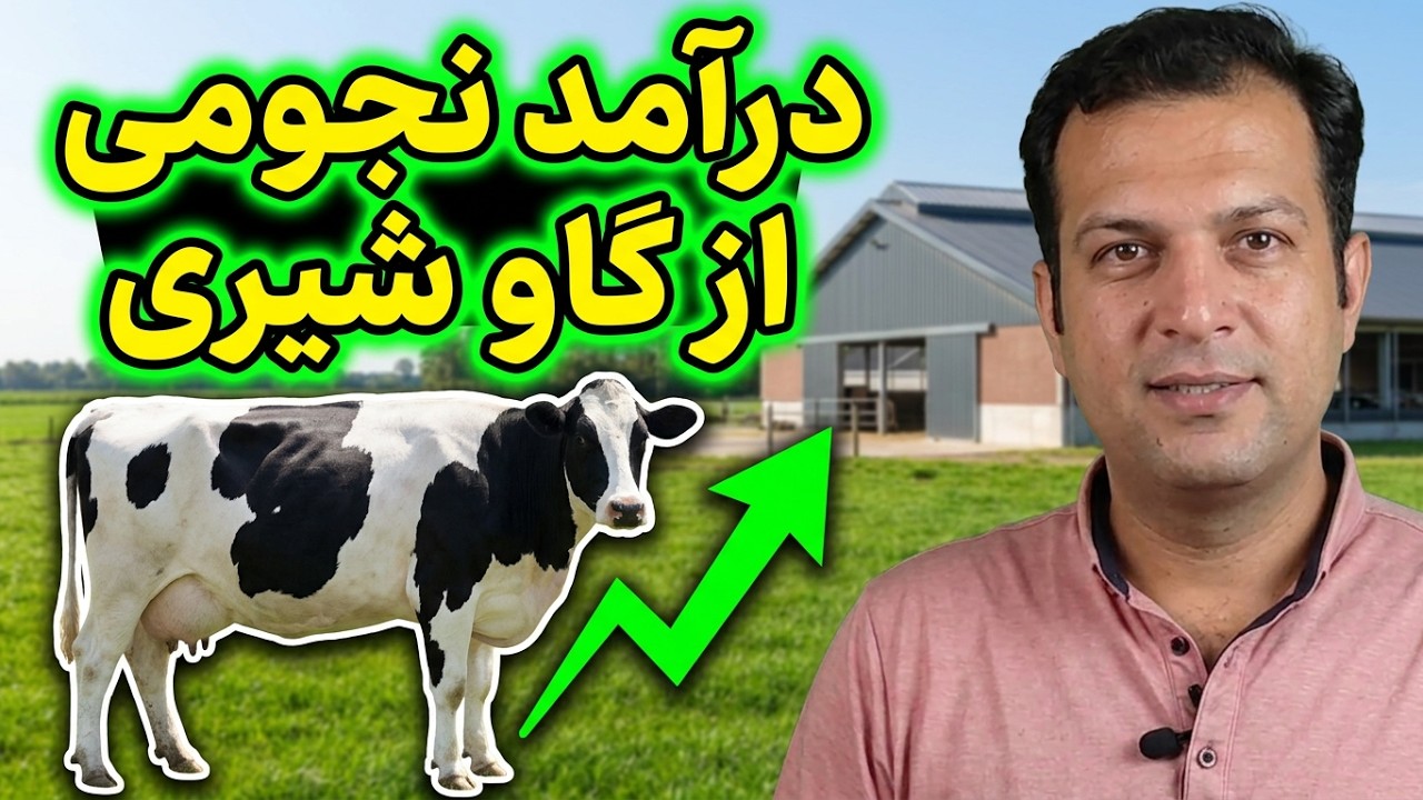 گاو شیری , درآمد گاو شیری , آموزش گاو شیری