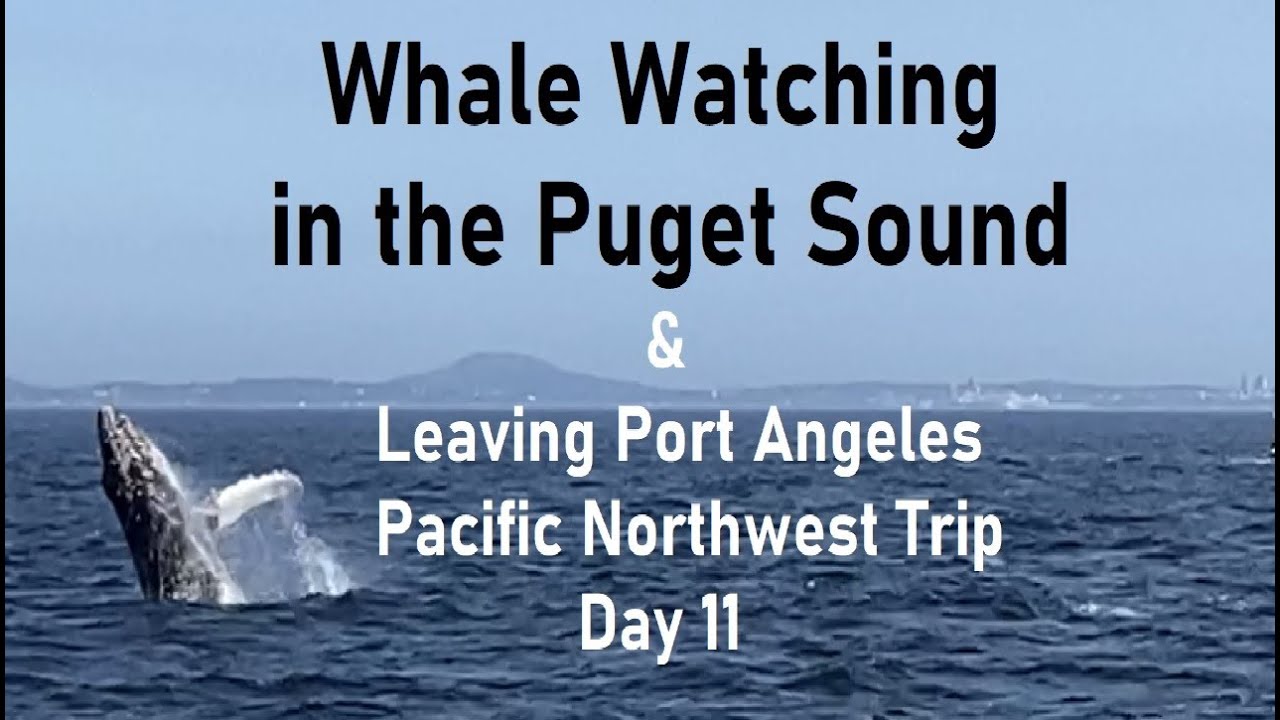 Whale Watch Tour Puget Sound & Leaving Port Angeles Day 11 Pacific Northwest Trip Washington State
