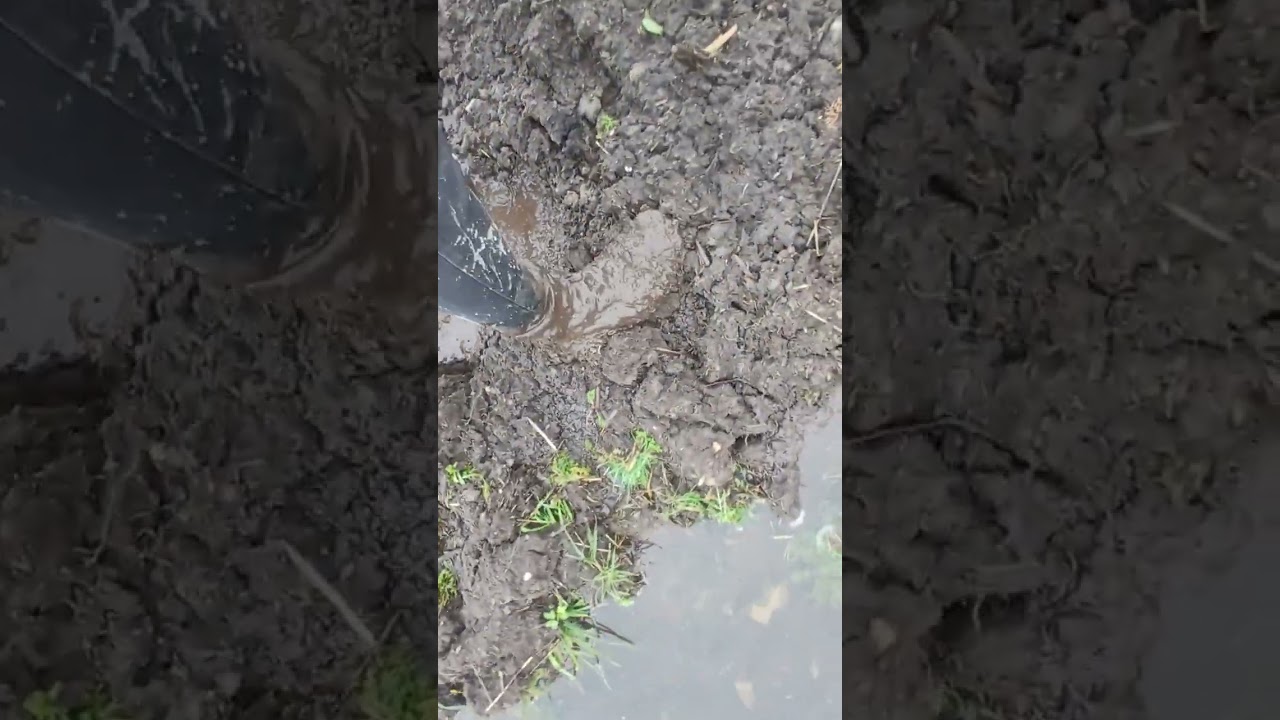muddy long converse part 3