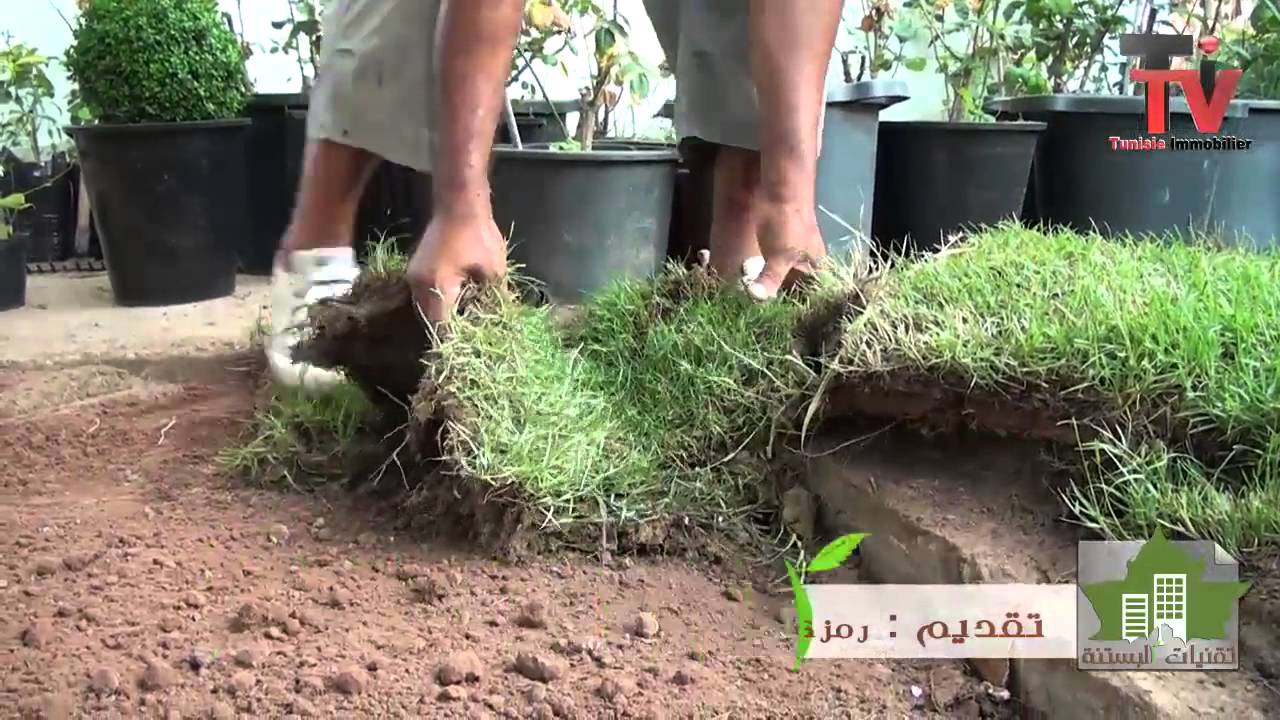 Emission 2: Comment préparer et semer son gazon?