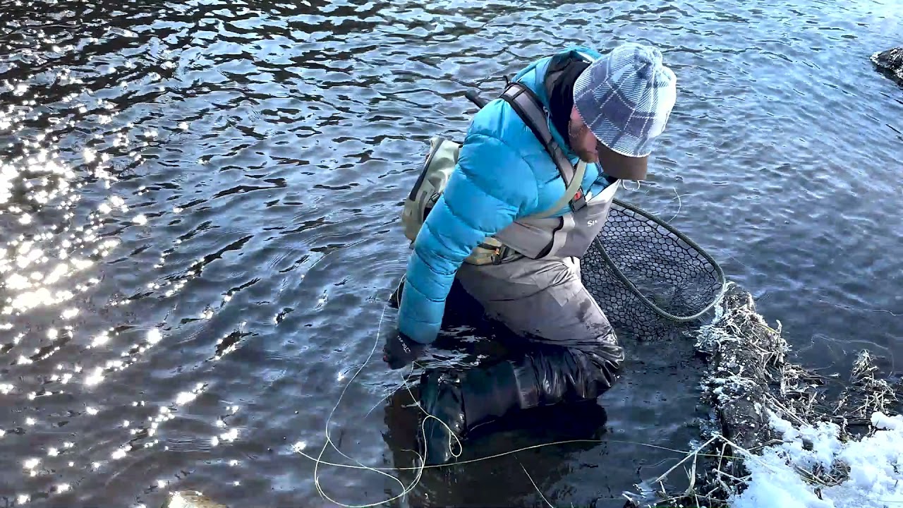Fly fishing for summer steelhead on the Wallowa River