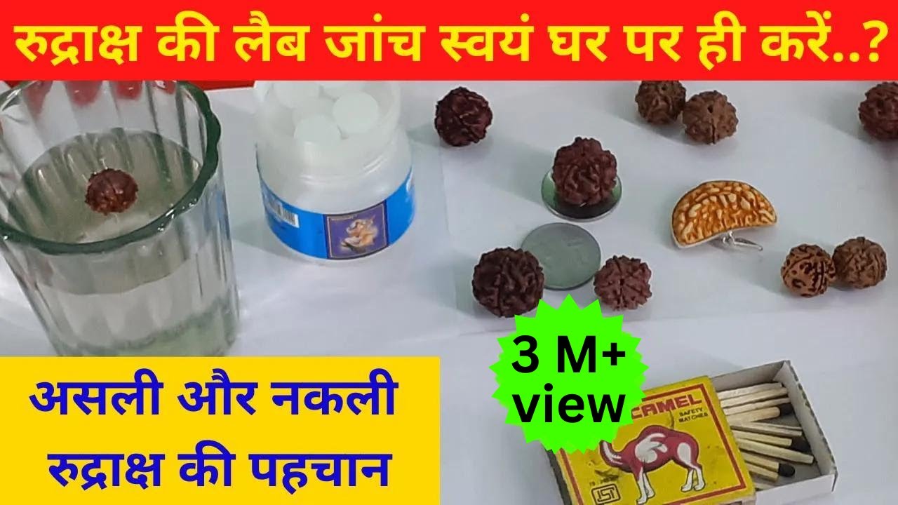Asalee Rudraaksh Ki Pahachaan Kaise Karen | Rudraksha Lab testing | Rudraksh ke fayde | रुद्राक्ष