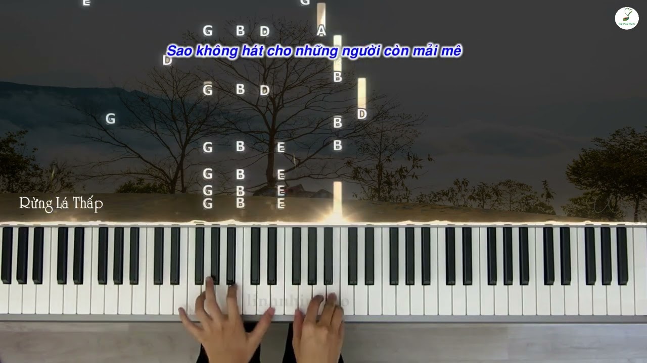 Rừng Lá Thấp | Piano solo | Intermediate level | Linh Nhi