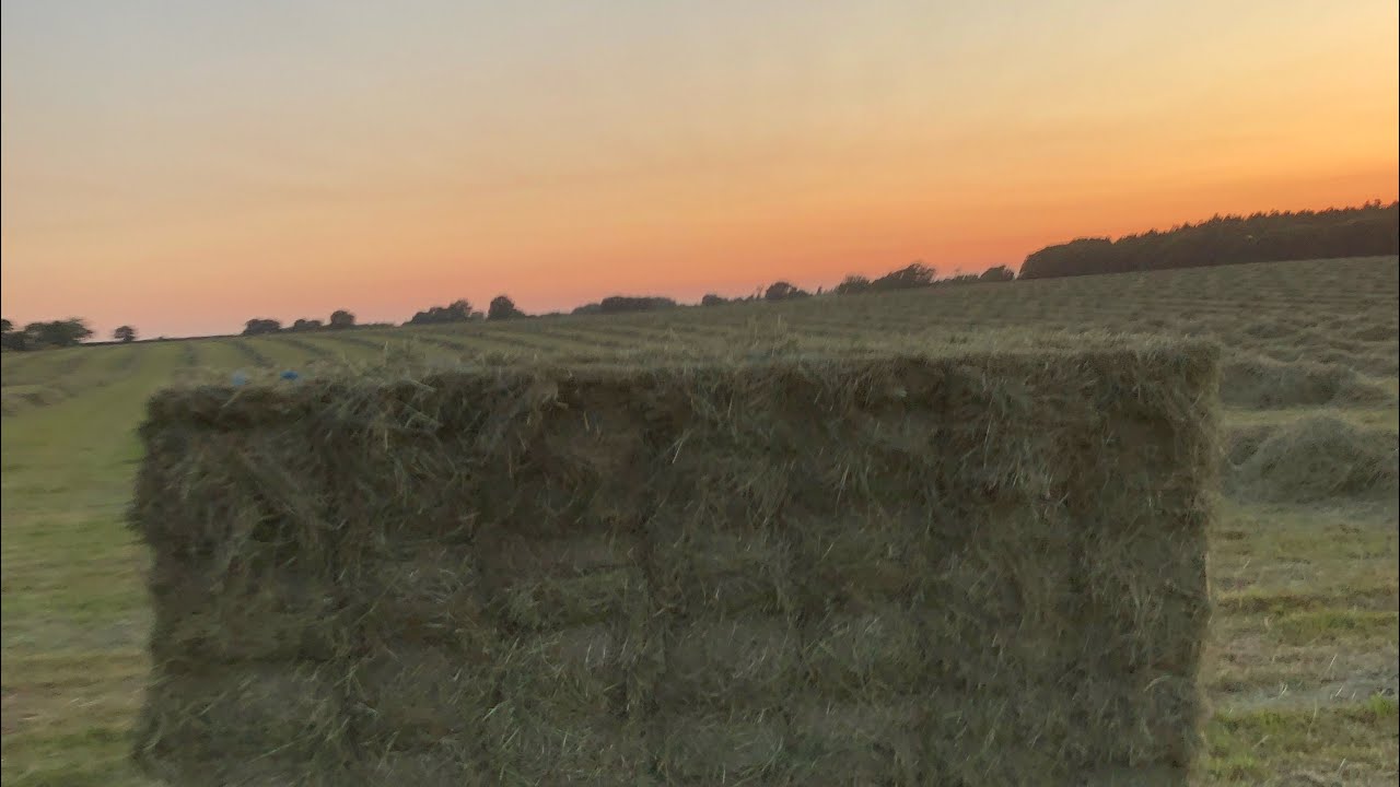 Farming 2020 Pt 2