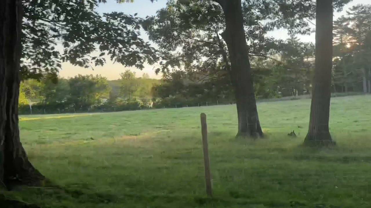 4K Sunset Aldermere Cow Farm Rockport Maine Redhead Destinations