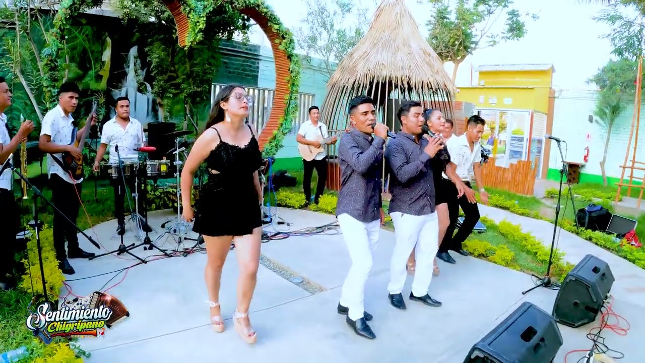 SENTIMIENTO CHIGRIPANO  MIX CHIGUIRIPANOS ♫ VIDEO Oficial ► ✔ ► 8K