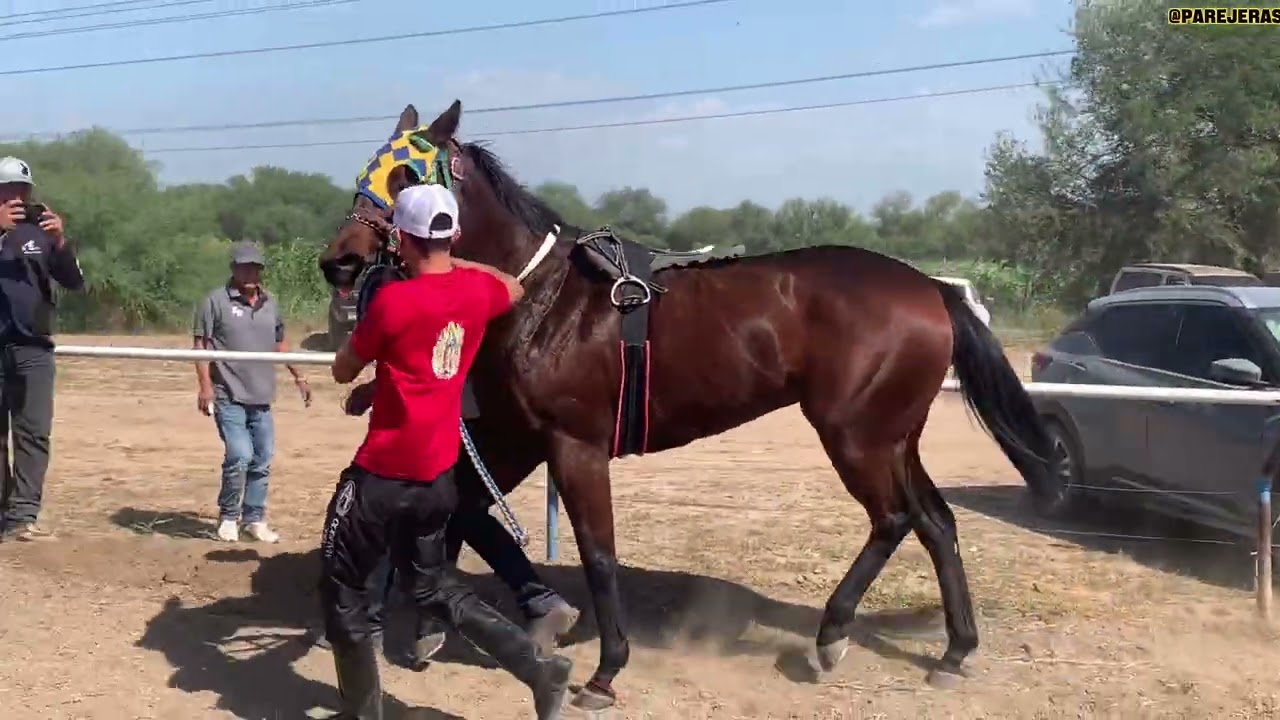 La colombiana vs el tornillo🍀pista las torres🍀