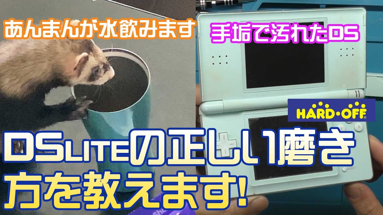 【ハードオフ】手垢で汚れたDSliteだが、磨けば綺麗になる娘なんです！正しい磨き方教えます！あんまん水をコップから飲む！【ジャンク・ピカール・フェレット】