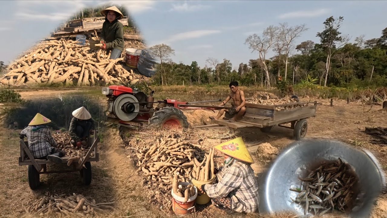 ແກງປານ້ອຍ//แกงปลาน้อย
