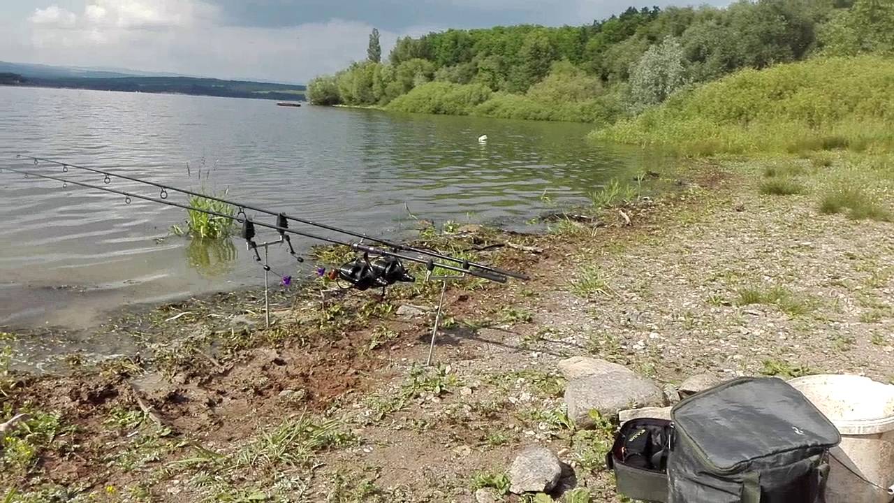 Z&aacute;běr kapra nechranice