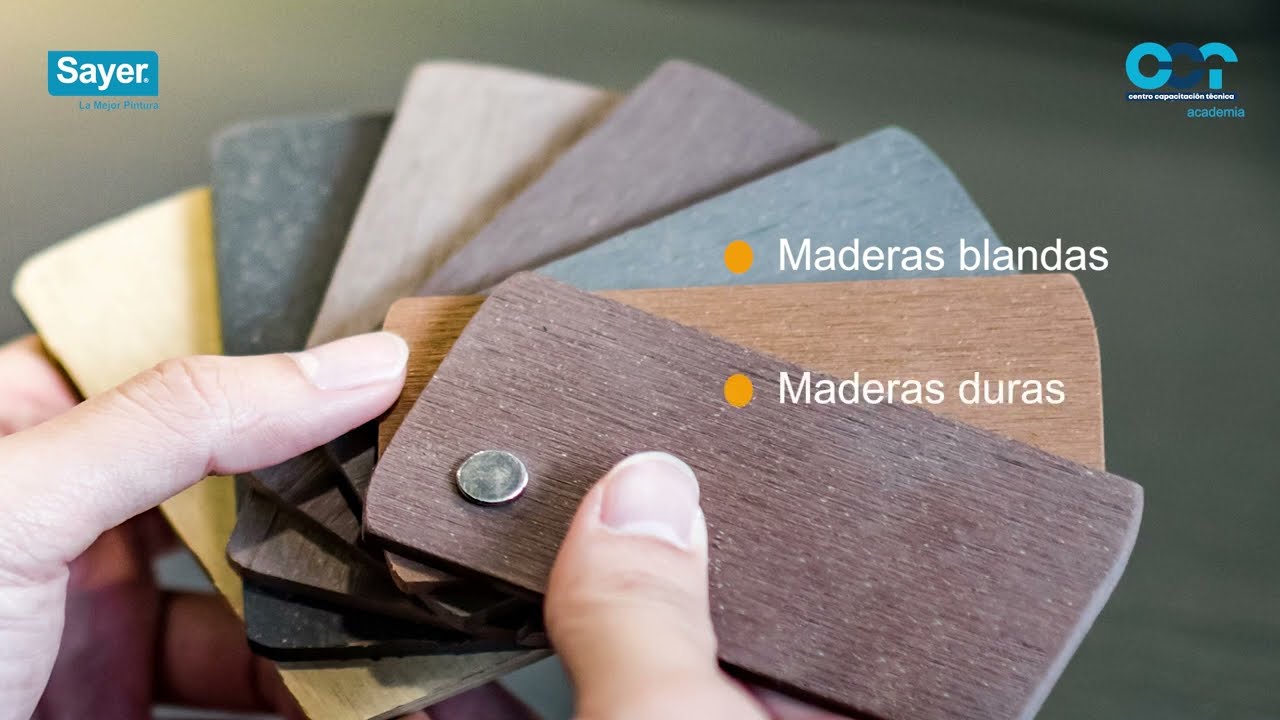 CCT ACADEMIA DIGITAL Módulo 5 Maderas Inducción y Sistemas Tintas