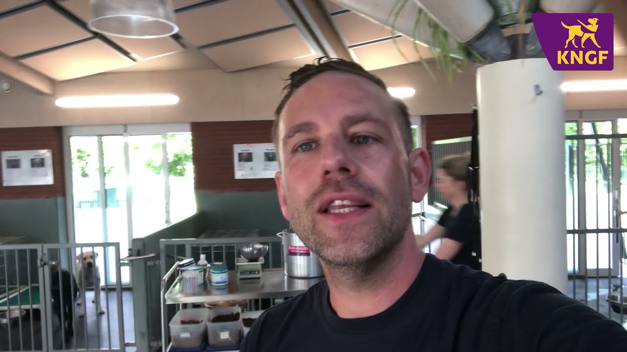 Vlog Willem: zo ziet een ochtend in de hondenkennel eruit