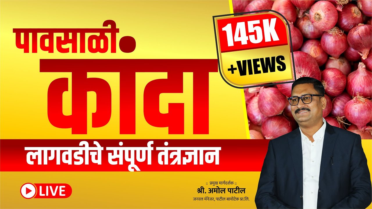 पावसाळी कांदा लागवडीचे संपूर्ण तंत्रज्ञान