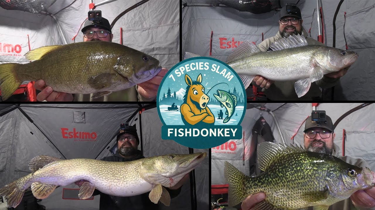 Seven Species Slam Ice Fishing - SO MANY GIANTS!