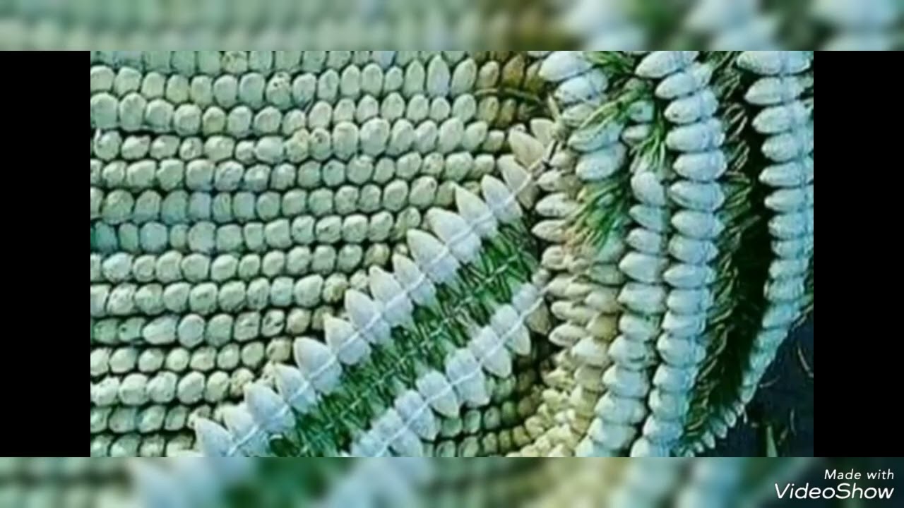 يوسف خبش قديم