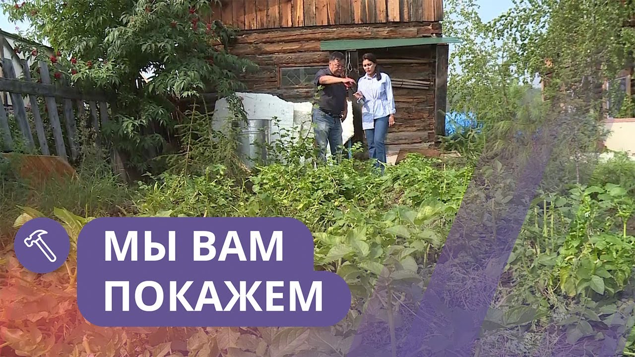Мы вам покажем: Раскрываем секрет богатого урожая