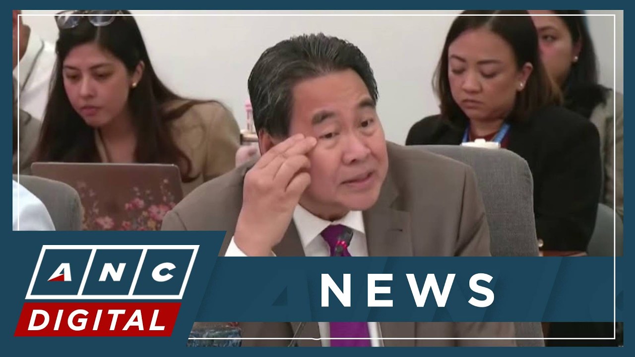 Rodriguez grills Nisay on PH-Interpol treaty, ICC warrant amid Duterte 'kidnapping' claim | ANC