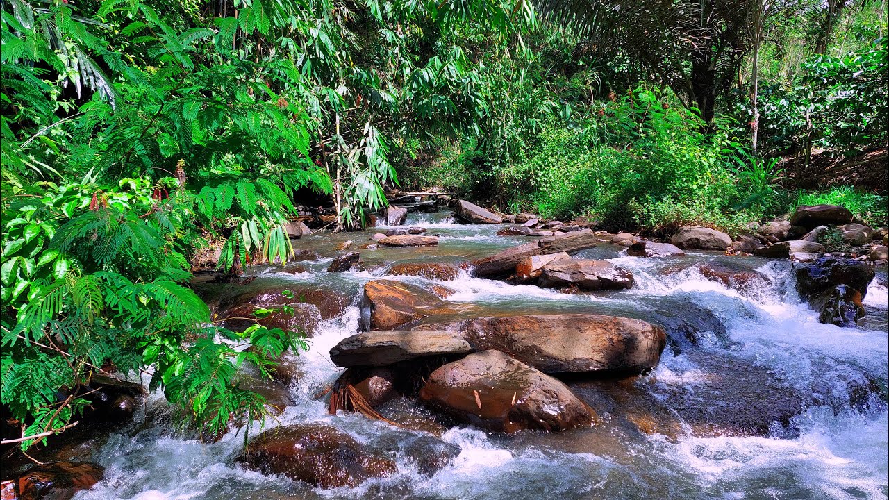 Beat Stress in Minutes to Deep Sleep with Rapids River Sounds Flowing Close-Up Over Natural Rocks