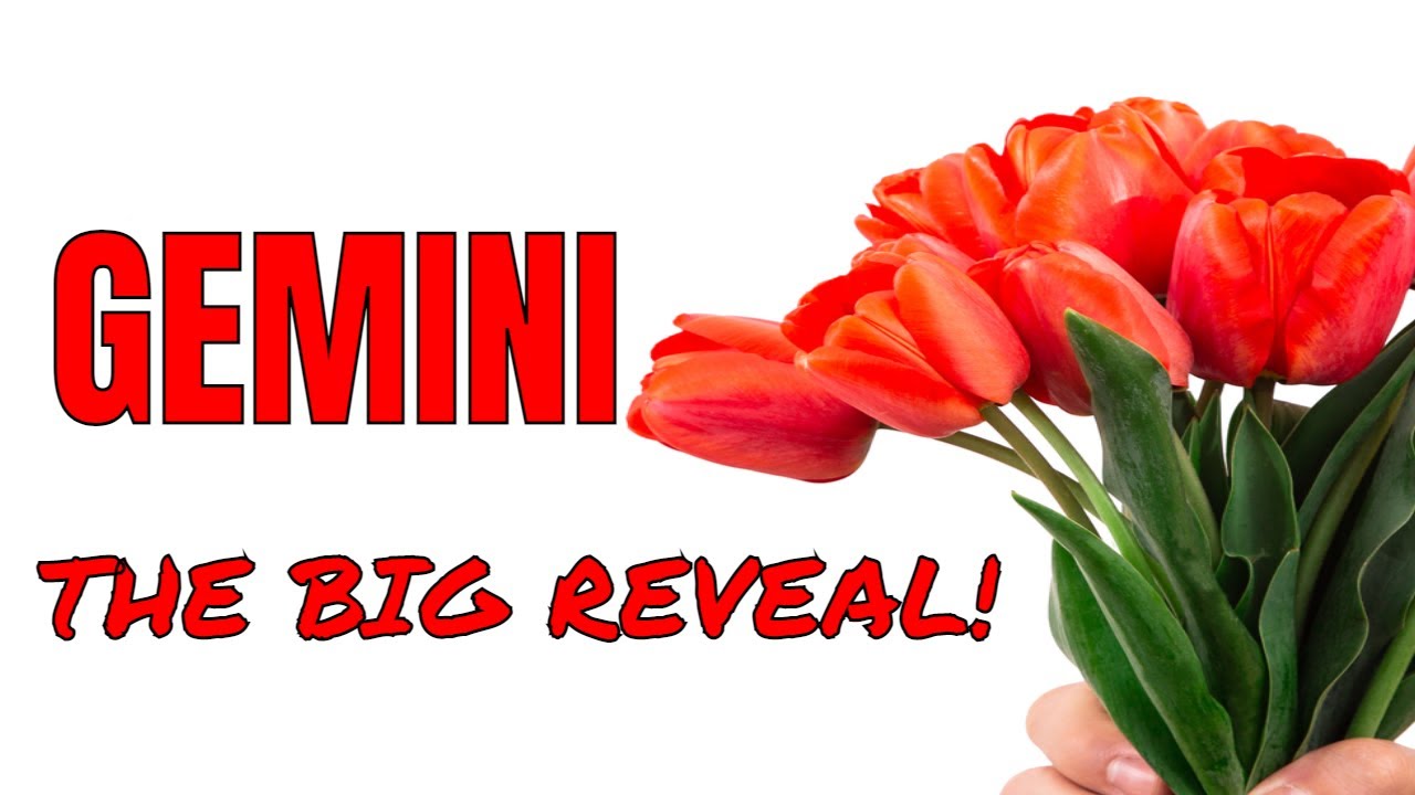 GEMINI~THE BIG REVEAL~PERCEPTION V. REALITY! LOVE TAROT