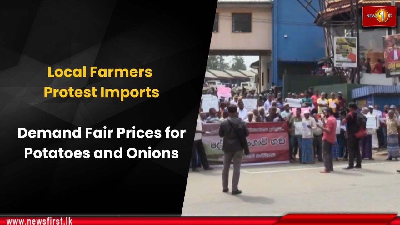 Местные фермеры протестуют против импорта: требуют справедливых цен на картофель и лук