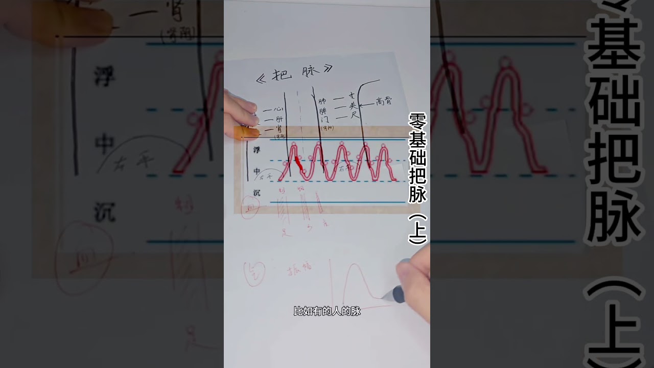 【零基礎學中醫把脈（上）｜3分鐘教你找準「寸關尺」，學會最簡單的把脈方法！】#中醫 #健康 #養生 #自學中醫 #傳統文化 #健康知識 #零基礎 #教學 #國學 #shorts