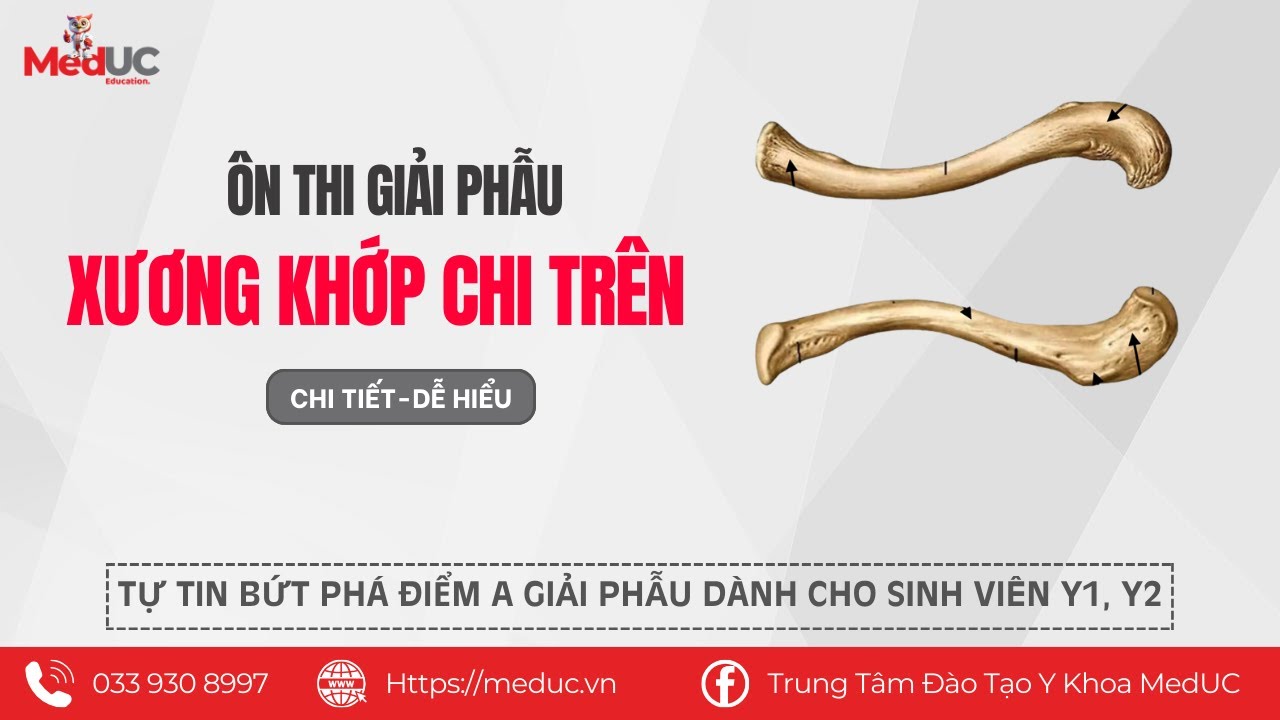 [Ôn Thi Giải Phẫu Xương Khớp Chi Trên] Buổi 1 | Trung Tâm Đào Tạo Y Khoa MedUC