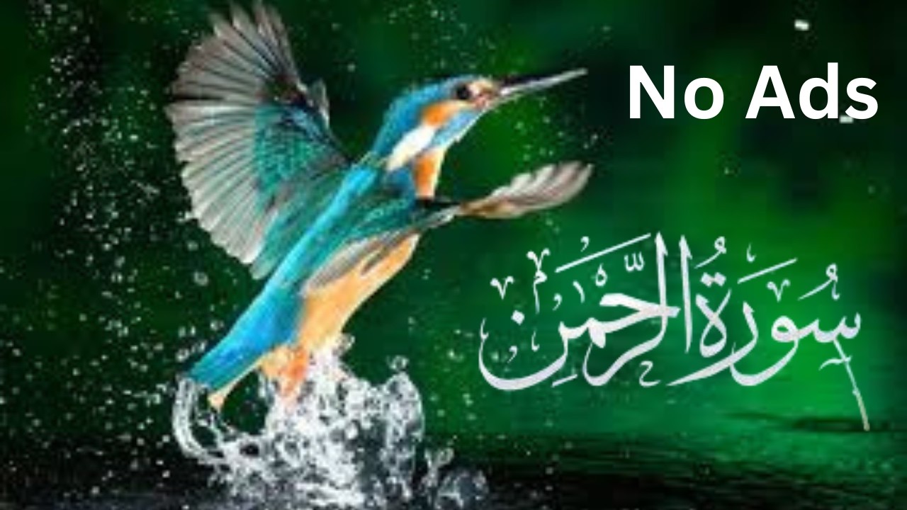 Surah Ar-Rahman (The Most Merciful) – Beautiful Qur’an Recitation | No Ads