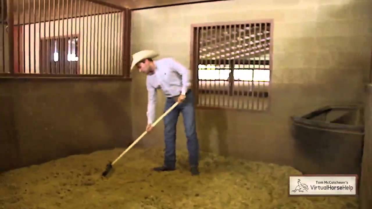 Cleaning a Stall - Reed Kyle