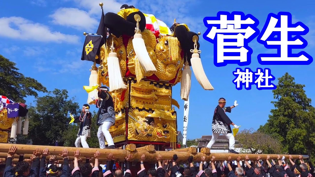 菅生神社秋祭り 2024　10の2　山本西・中辻・大辻太鼓台 御旅所前に到着　かき夫の皆さん 気合いが入ってます！！！　香川県三豊市山本町辻　2024年10月6日
