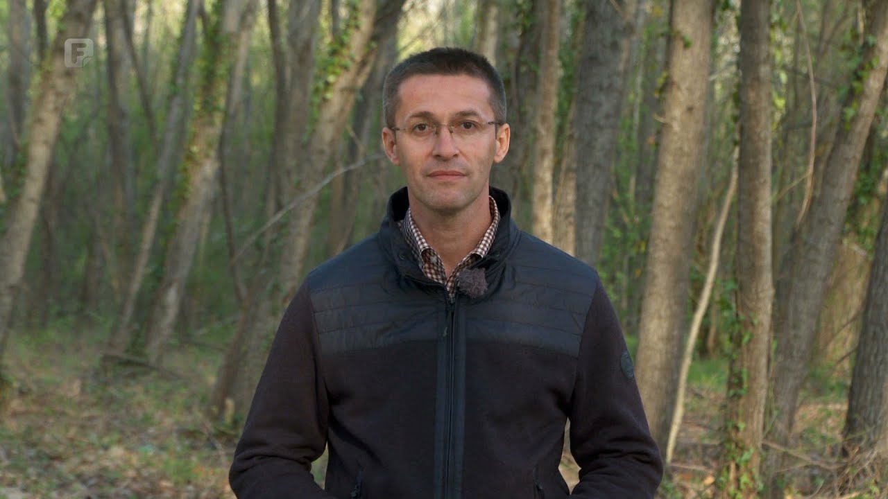 Zelena panorama, 23.04.2023.