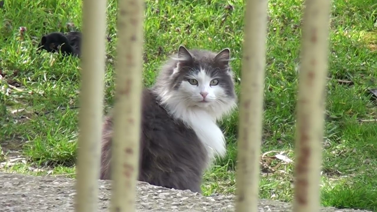 Tv Tera Bitola   Skrivnicite   nezastiteni po site standardi 03 03 2026