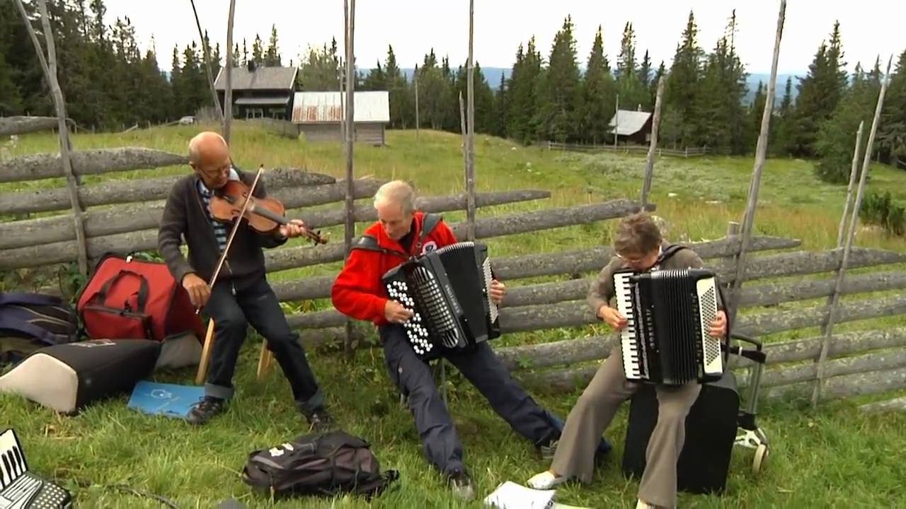 Liv på Rømåsetra