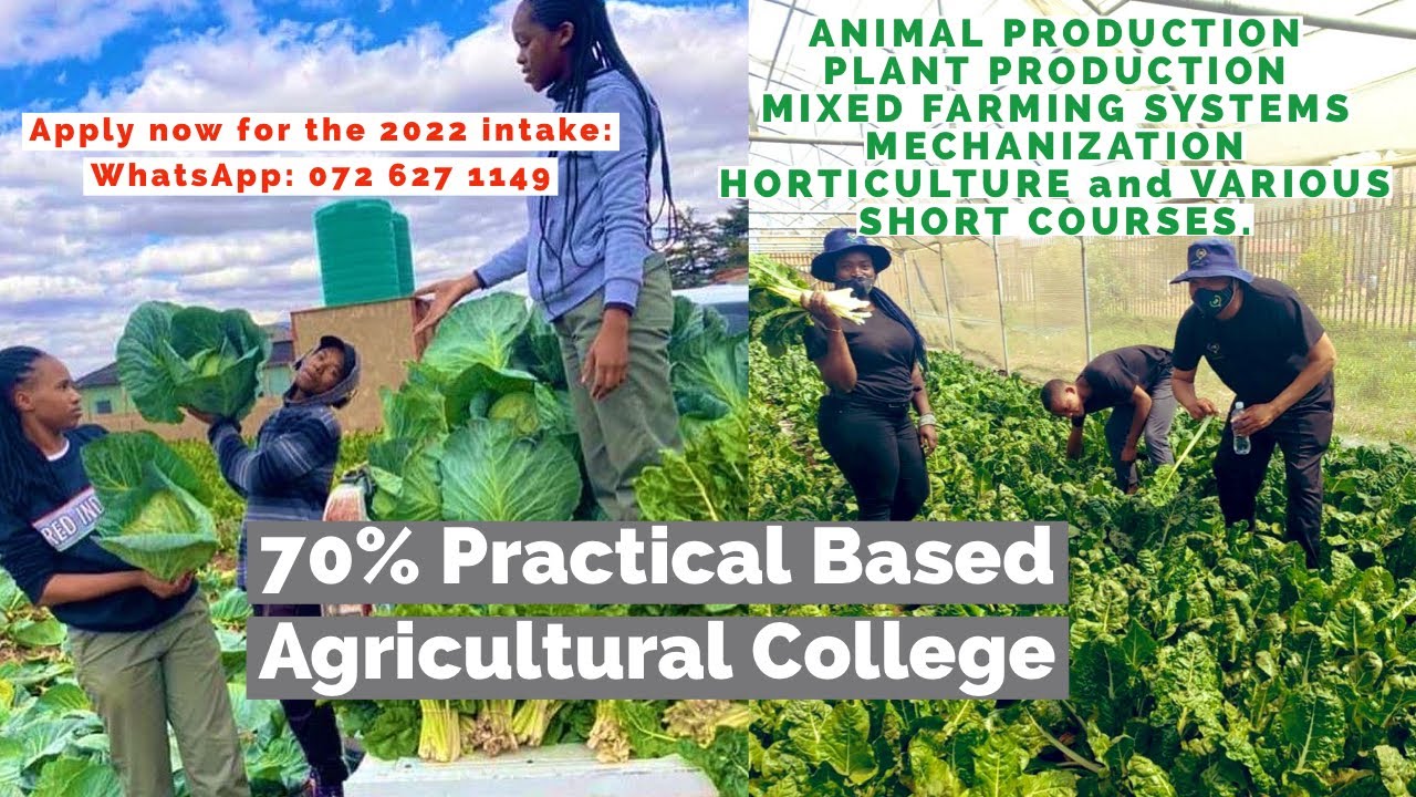 P2- 70% Practical Based Agricultural College | Conversation With The Dean Of The College Alex Macnab