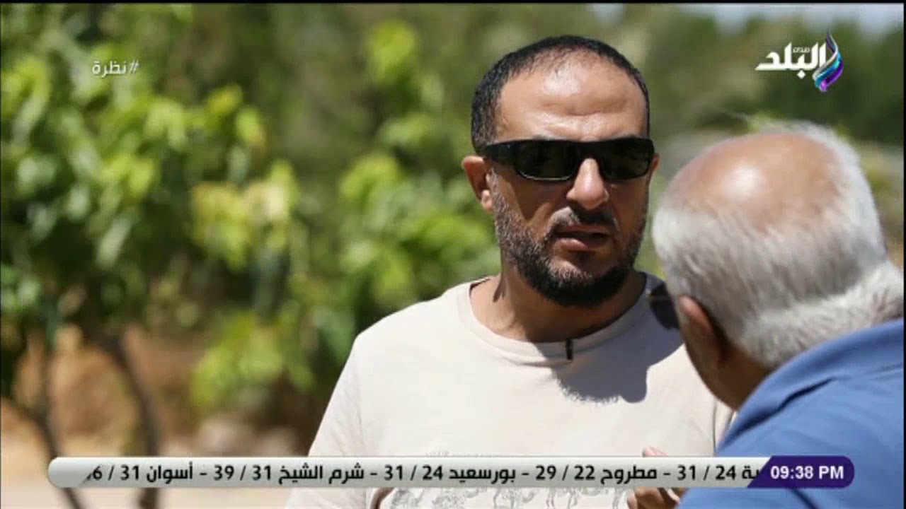 نظرة - فضلت الاستثمار في الصحراء.. مستثمر بالطور يكشف مميرات الزراعة في طور سيناء