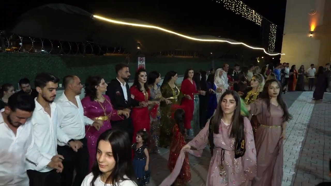 Musa Özdemir Düğünü Part 2 ( Grup Welat Silopi ) 2024