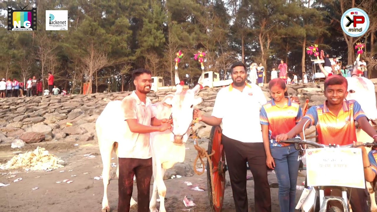 हिंदकेसरी मैदान आवास !! २०२५ !!  आवास ग्रामस्थ आयोजित !! अलिबाग तालुक्यातील सर्वात मोठी शर्यत !!