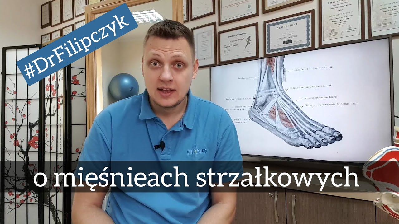 O mięśniach strzałkowych. #drFilipczyk