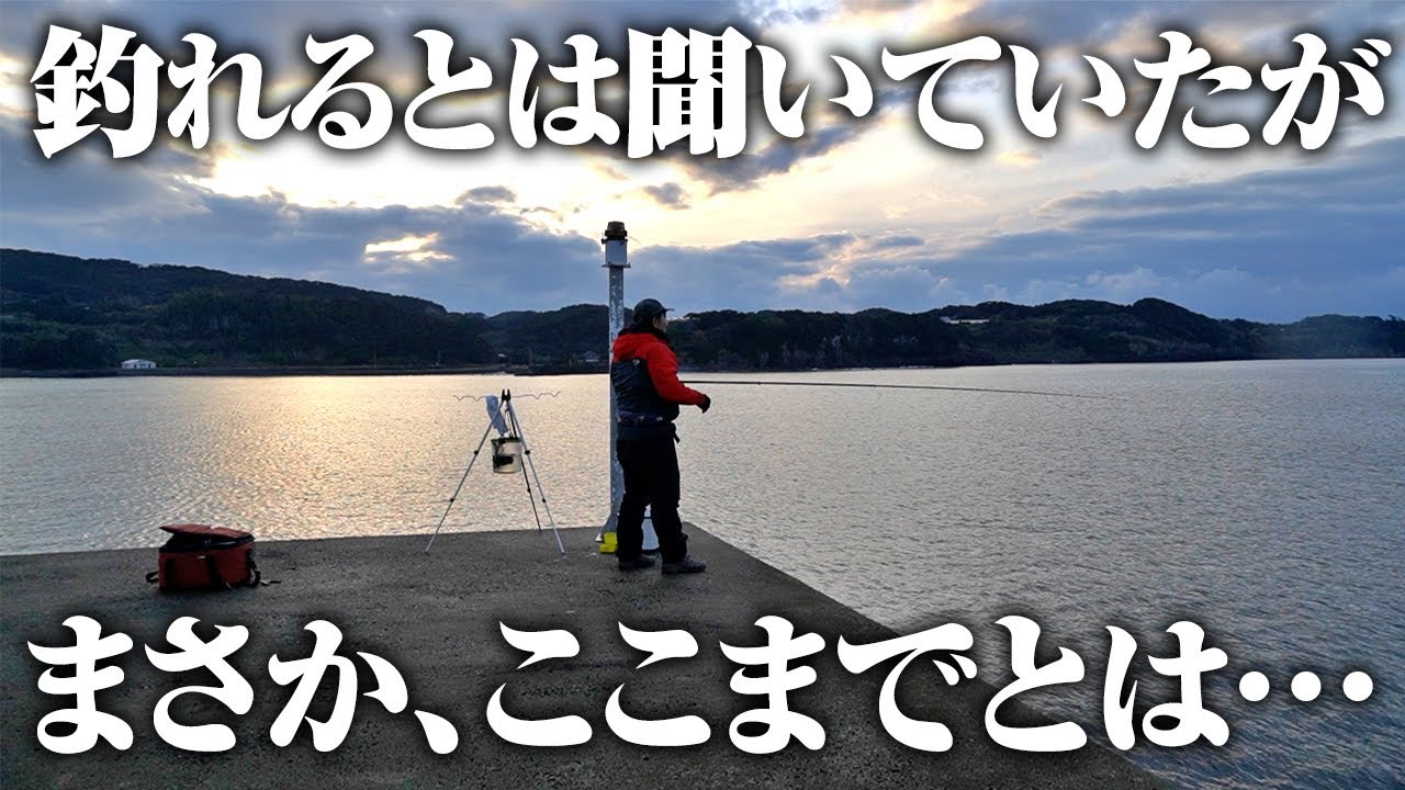 寒い時期でも回遊魚が挑戦発。釣れない時期の救いはこの釣り方だった件