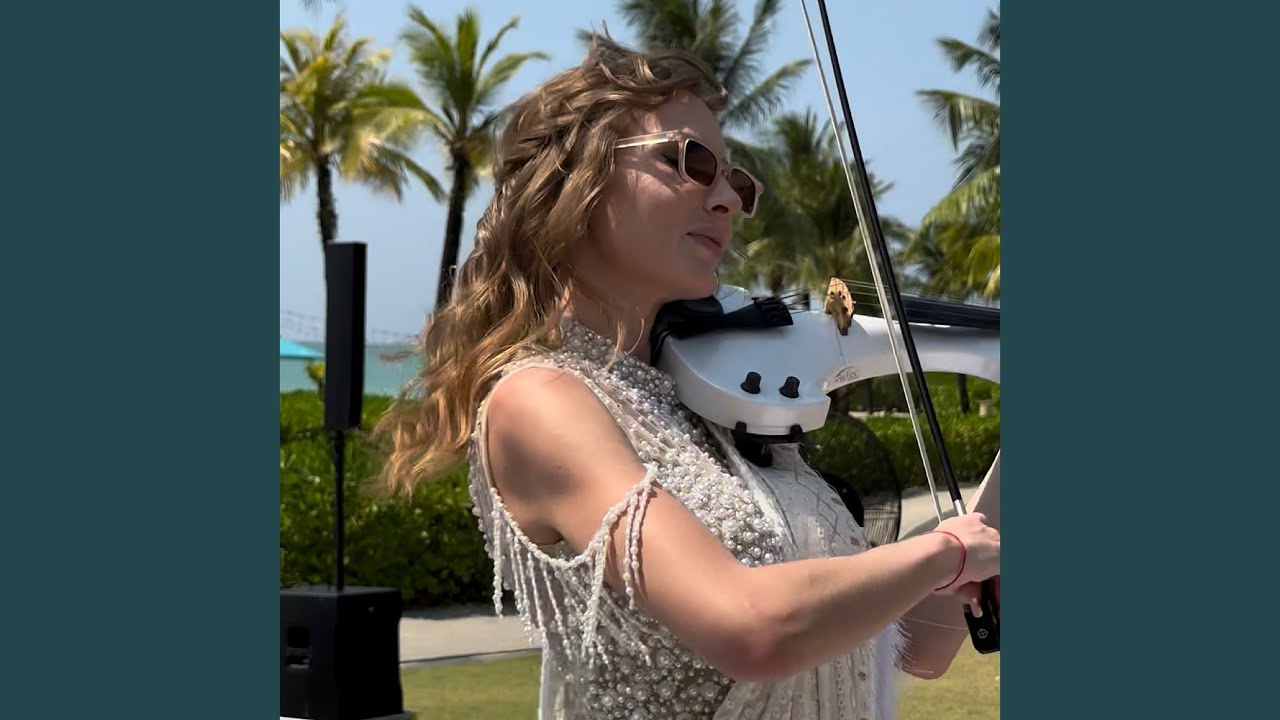 Humko Humise Churalo (Violin Cover)