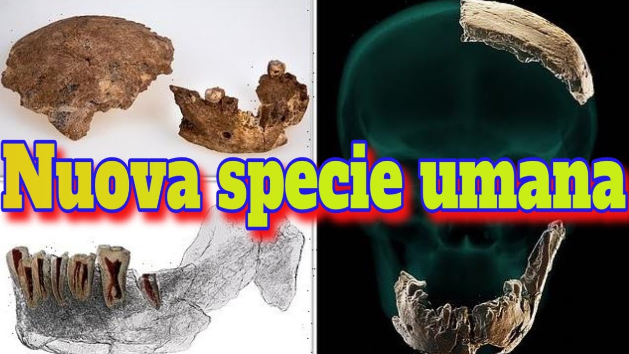 Arriva Homo nesher ramla! Una nuova specie umana