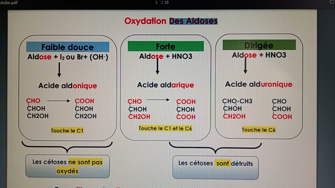 Oxydation Des Aldoses Avec Exercice