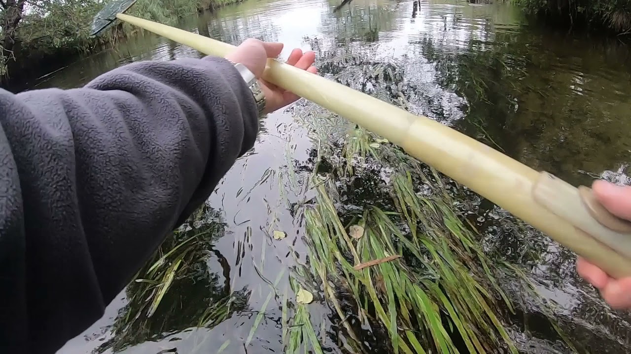 Łosoś ze Słupi. Od tarlaka do narybku jesiennego
